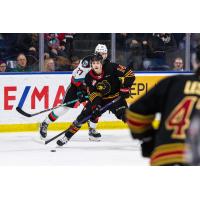 Ethan Semeniuk of the Vancouver Giants in action