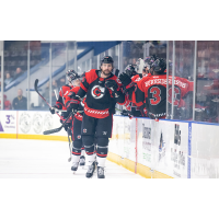 Cincinnati Cyclones exchange fist bumps along the bench