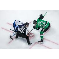 Texas Stars face off with the Manitoba Moose