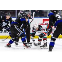 Kelowna Rockets' Trae Johnson in action