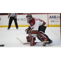 Tucson Roadrunners' Tyler Parks in action