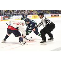 South Carolina Stingrays' Jonny Evans and Florida Everblades' Xavier Cormier in action