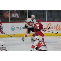 Allen Americans' Liam Finlay in action