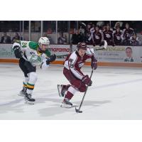 London Knights' Logan Mailloux versus Peterborough Petes' Brian Zanetti