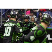 Saskatchewan Rush in action