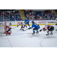 Springfield Thunderbirds battle the Belleville Senators