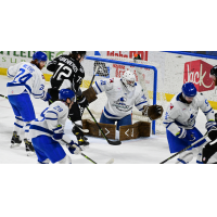 Wichita Thunder's goalie Evan Buitenhuis in action