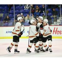 Vancouver Giants celebrate win