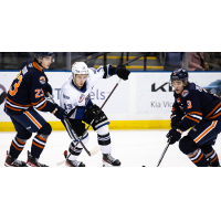 Victoria Royals' Marcus Almquist in action