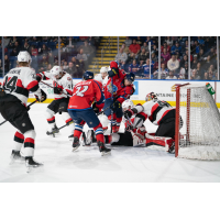 Springfield Thunderbirds battle the Belleville Senators