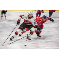 Belleville Senators' Cole Reinhardt Battles Springfield Thunderbirds' Tyler Tucker