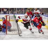 Belleville Senators' Kyle Betts and Springfield Thunderbirds' Anthony Angello in action