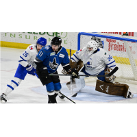 Idaho Steelheads' Justin Ducharme and Wichita Thunder's Cole Macdonald and Evan Buitenhuis on game night