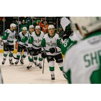 Texas Stars prepare for congratulations along the bench