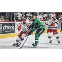 Grand Rapids Griffins battle the Texas Stars