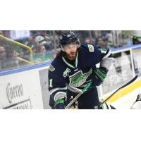 Florida Everblades forward Cam Darcy