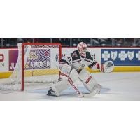 Grand Rapids Griffins goaltender Jussi Olkinuora