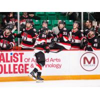 Belleville Senators celebrate win