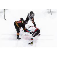 Vancouver Giants' Ty Thorpe versus Kelowna Rockets' Marcus Pacheco