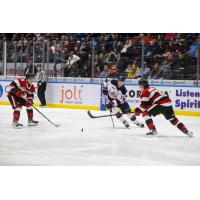 Saginaw Spirit's 	Sebastien Gervais battles Ottawa 67's Frankie Marrelli and Chris Barlas