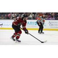 Tucson Roadrunners' forward Mike Carcone in action