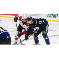 Prince George Cougars' Brad Morrison and Victoria Royals' Reggie Newman on game night