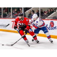 Belleville Senators' John Quenneville and Rochester Americans' Linus Weissbach in action