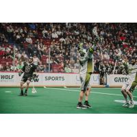 Saskatchewan Rush celebrate a goal