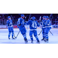 Wichita Thunder celebrate a goal