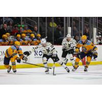 Wheeling Nailers forward Max Johnson leads the charge against the Toledo Walleye