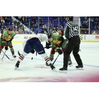 Vancouver Giants' Kyren Gronick in action