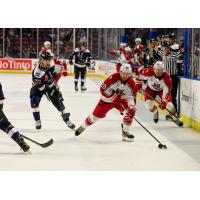 Gavin Gould of the Allen Americans handles the puck against the Utah Grizzlies