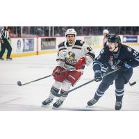 Grand Rapids Griffins center Austin Czarnik (left) vs. the Manitoba Moose