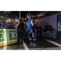 Saint John Sea Dogs' Brady Burns on game night