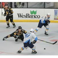 Wheeling Nailers' Tyler Drevitch battles Toledo Walleye's Cédric Lacroix