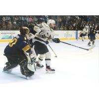 Norfolk Admirals' Cale Morris and Wheeling Nailers' Jordan Frasca in action