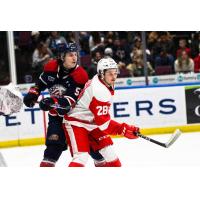 Saginaw Spirit's Roberto Mancini and Sault Ste. Marie Greyhounds' Kalvyn Watson