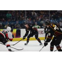 Cleveland Monsters' David Jiricek in action