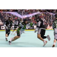 Saskatchewan Rush battle the Calgary Roughnecks