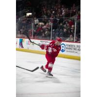 Allen Americans left wing Gavin Gould