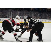 Belleville Senators centre Mark Kastelic in the face off circle