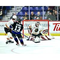 Victoria Royals' Marcus Almquist and Vancouver Giants' Brett Mirwald in action