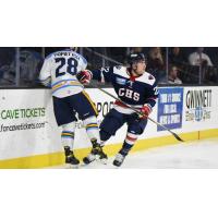 Atlanta Gladiators' Derek Topatigh battles e South Carolina Stingrays' Anthony Del Gaizo