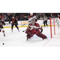 Tucson Roadrunners' Ivan Prosvetov in action