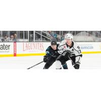 San Jose Barracuda's Artemi Kniazev battles Ontario Reign's Tobias Bjornfot