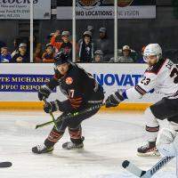 Knoxville Ice Bears' Rex Moe and Birmingham Bulls' Chase Carter in action