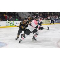 Wheeling Nailers' Louie Roehl and Iowa Heartlanders' Steven Leonard in action