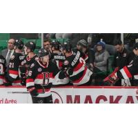 Belleville Senators celebrate win