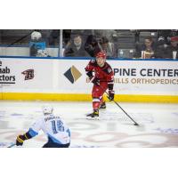 Rapid City Rush's Matt Marcinew versus Toledo Walleye's Brandon Hawkins