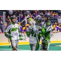 Saskatchewan Rush celebrate a goal